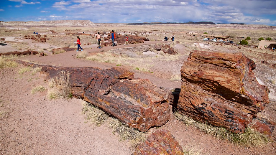 Rt 66 Petrified Forest