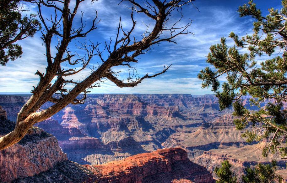 the Grand Canyon