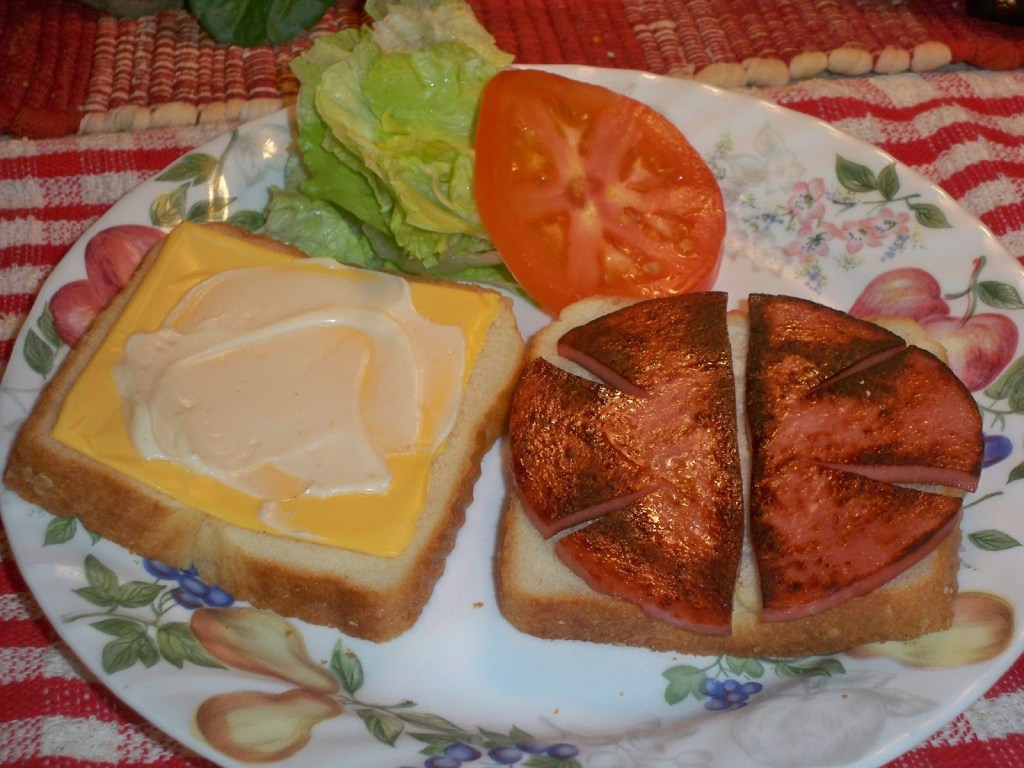 fried bologna