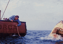 jaws gif