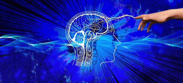 How to Improve Your Brain