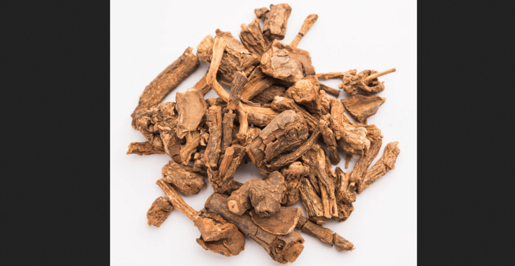 sarsaparilla root