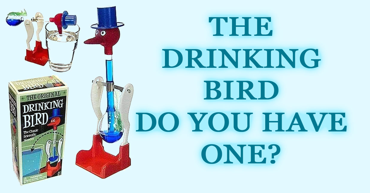 drinking bird