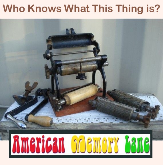 Anybody Know What This Thing&nbsp;Is?