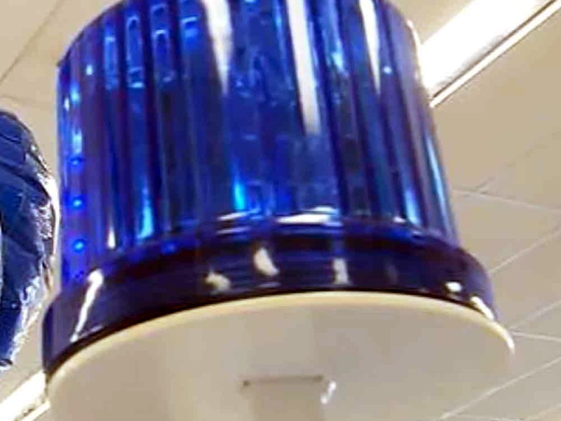 Blue Light Specials at&nbsp;Kmart