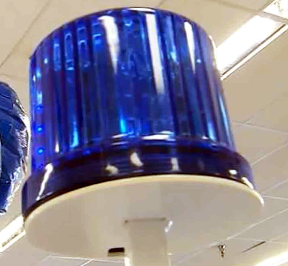 Blue Light Specials at&nbsp;Kmart