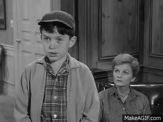 leave it to beaver gif