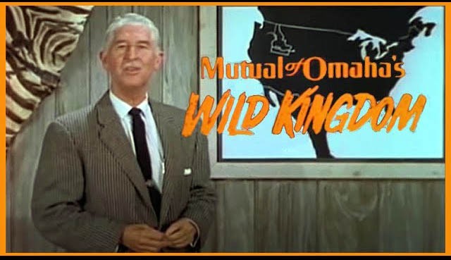 wild kingdom