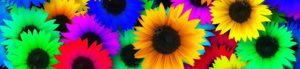 The Hippie Movement in&nbsp;America