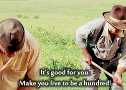 secondhand lions