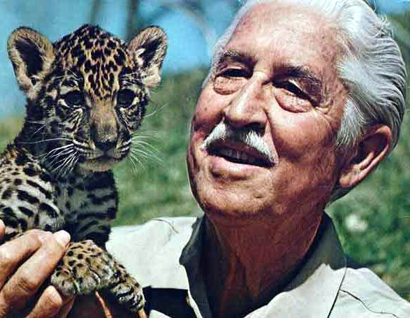 Wild Kingdom – All About The&nbsp;Show