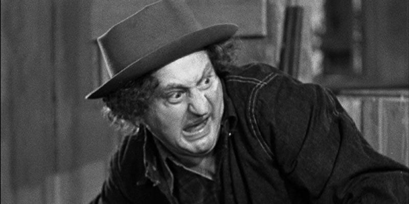 Larry Fine