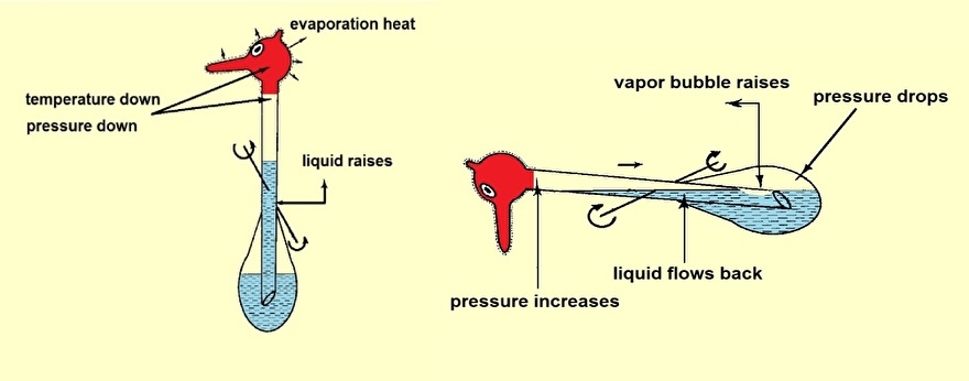 drinking bird tech